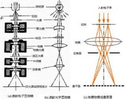电镜和光镜光路图及电镜物镜成像原理 电镜和光镜光路图及电镜物镜成像原理