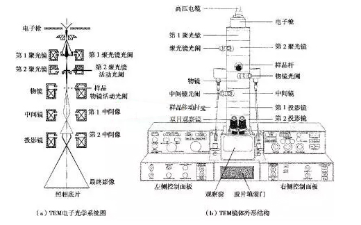 TEM电子光学系统图与TEM镜体外形结构图 TEM电子光学系统图与TEM镜体外形结构图
