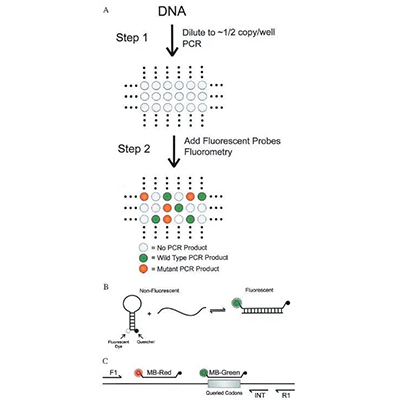 数字PCR