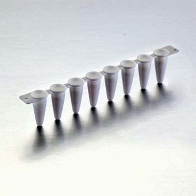 荧光定量PCR
