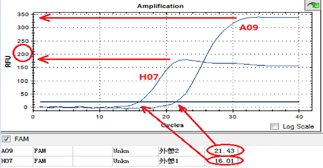 PCR异常曲线剖析