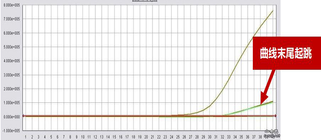 PCR异常曲线剖析
